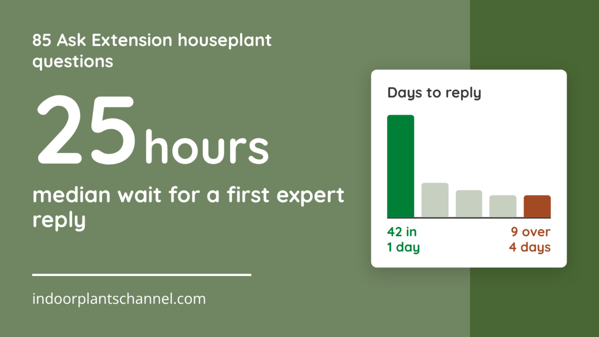 We Timed 85 Houseplant Questions to University Experts: What Plant Societies Can Learn