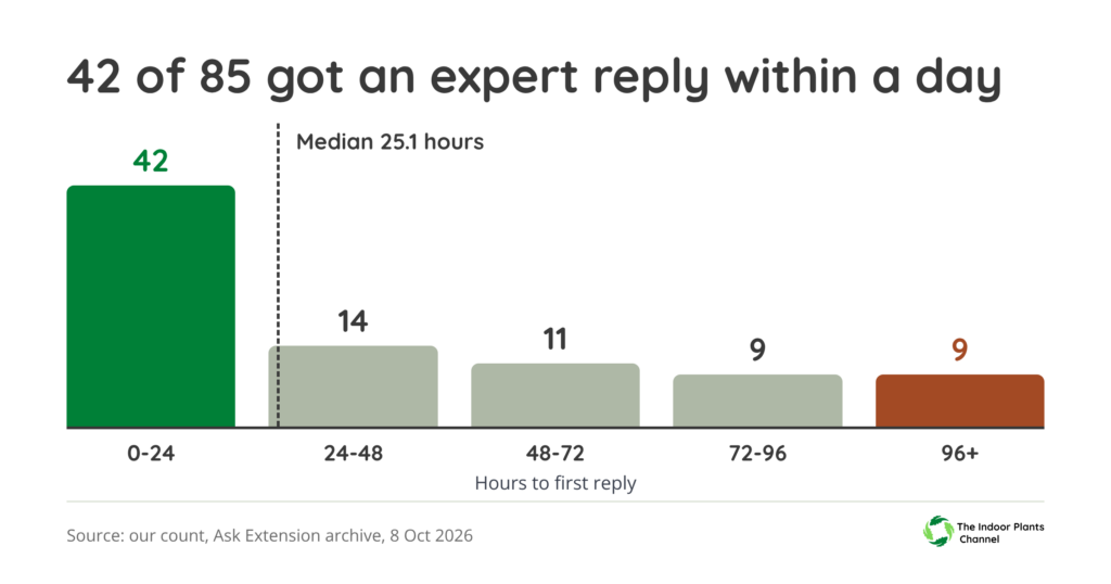 Bar chart of the wait for a first expert reply on 85 Ask Extension houseplant questions: 42 within 24 hours, 14 in 24 to 48, 11 in 48 to 72, 9 in 72 to 96, 9 after 96 hours. Median 25.1 hours.