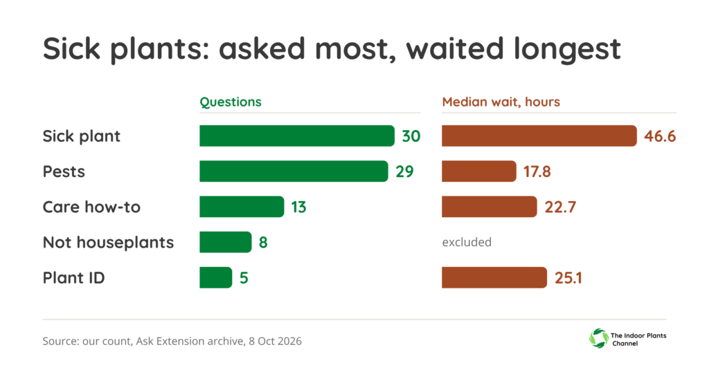 Bars of what growers asked in 85 Ask Extension houseplant questions, with median wait to first reply: sick plant 30 questions, 46.6 hours; pests 29, 17.8 hours; care how-to 13, 22.7 hours; not houseplants 8, excluded; plant ID 5, 25.1 hours.